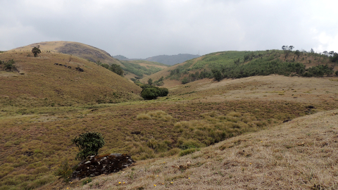 Natural Resource Management