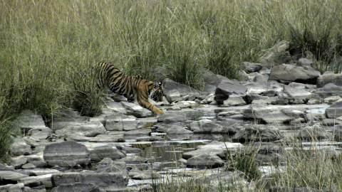 Wildlife Biology and Conservation