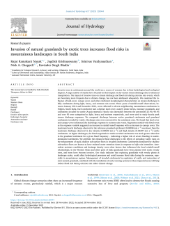 Invasion of natural grasslands by exotic trees increases flood risks in mountainous landscapes in South India